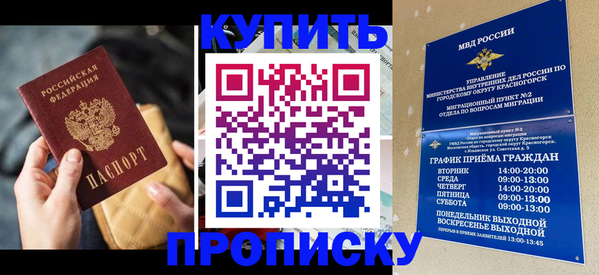 прописка законно в Светлограде